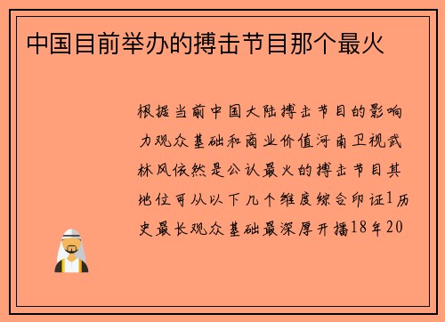 中国目前举办的搏击节目那个最火